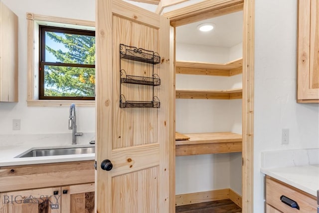 pantry featuring a sink