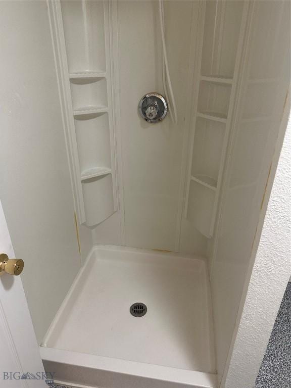 2921 Mammoth, Butte, MT 59701 - bathroom with a shower stall