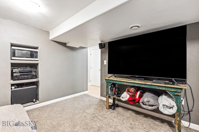 cinema featuring carpet and baseboards