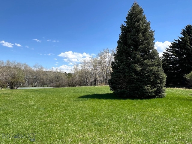TBD Spring Creek Dr, Bozeman, MT 59715