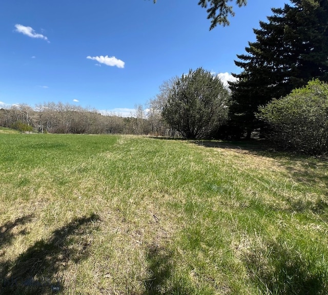 TBD Spring Creek Dr, Bozeman, MT 59715