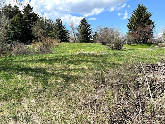 TBD Spring Creek Dr, Bozeman, MT 59715