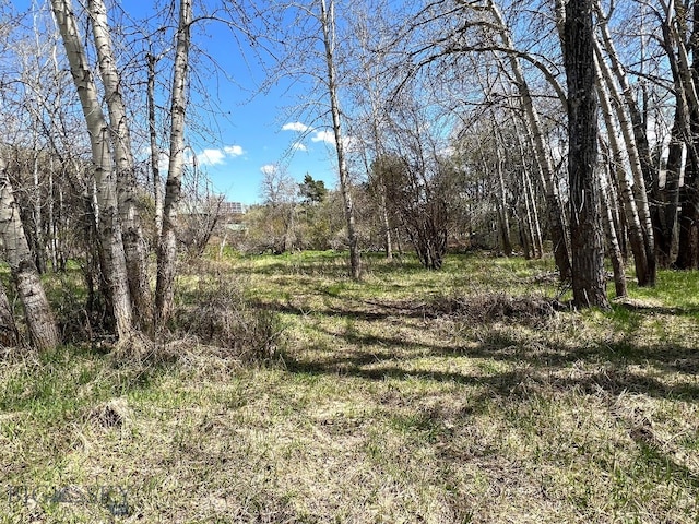 TBD Spring Creek Dr, Bozeman, MT 59715