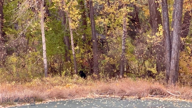 TBD Spring Creek Dr, Bozeman, MT 59715
