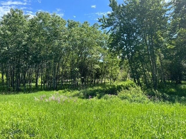 TBD Spring Creek Dr, Bozeman, MT 59715
