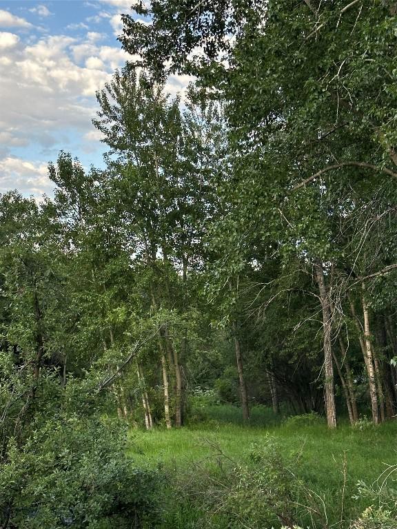 TBD Spring Creek Dr, Bozeman, MT 59715