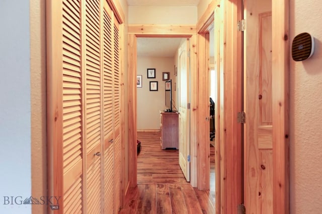 1816 S Rouse Unit 1 & 2, Bozeman, MT 59715 - corridor with wood finished floors