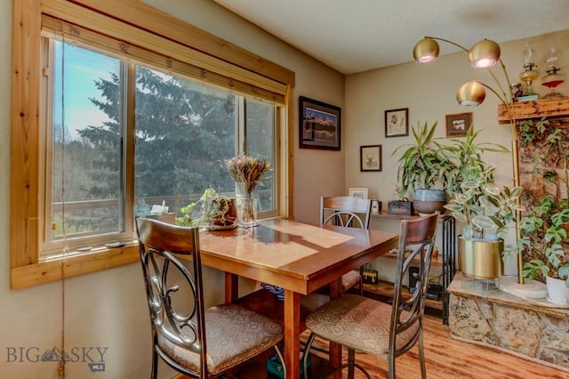 1816 S Rouse, Bozeman, MT 59715 - dining room featuring wood finished floors