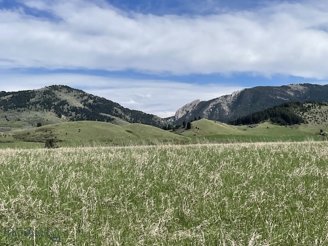 NKN Mount Ellis Lane, Bozeman, MT 59715