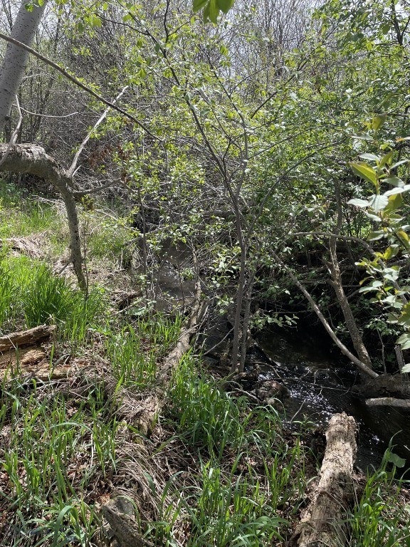 NKN Mount Ellis Lane, Bozeman, MT 59715