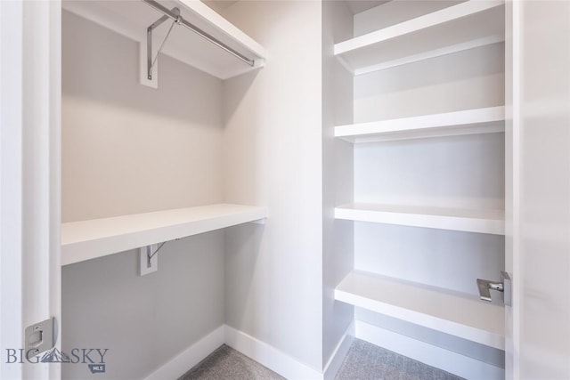 440 Meriwether Ave, Bozeman, MT 59718 - spacious closet featuring carpet floors