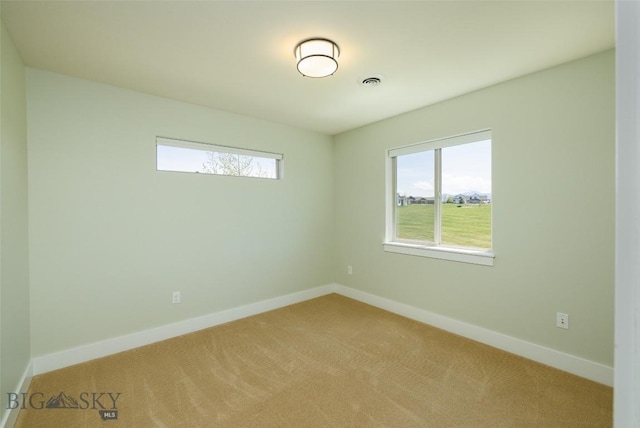 342 Parklands Trl, Bozeman, MT 59718 - empty room featuring healthy amount of natural light, light carpet, and baseboards