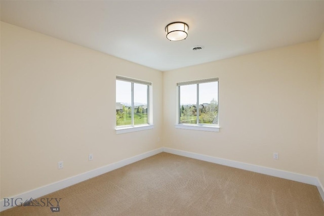 342 Parklands Trl, Bozeman, MT 59718 - unfurnished room with light colored carpet and baseboards