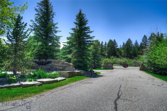 419 Upper Autumn Ridge Rd, Bozeman, MT 59715 - view of street featuring a gate