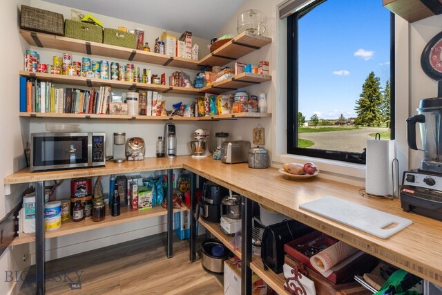 20 Prairie Falcon Ln, Belgrade, MT 59714 - view of pantry