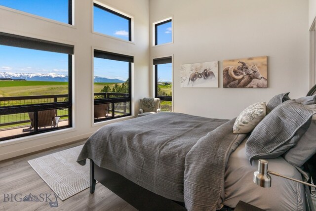 20 Prairie Falcon Ln, Belgrade, MT 59714 - bedroom with wood finished floors and a high ceiling