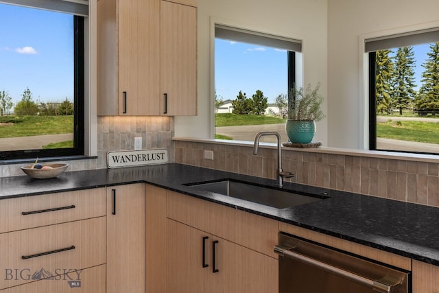 20 Prairie Falcon Ln, Belgrade, MT 59714 - kitchen with dishwasher, a sink, decorative backsplash, and plenty of natural light