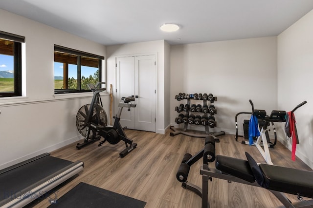 20 Prairie Falcon Ln, Belgrade, MT 59714 - exercise room with baseboards and wood finished floors