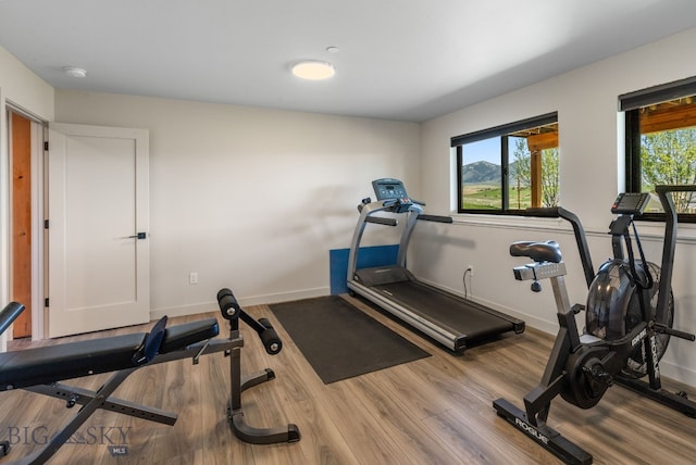 20 Prairie Falcon Ln, Belgrade, MT 59714 - exercise room featuring wood finished floors, healthy amount of natural light, and baseboards