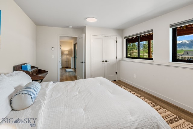 20 Prairie Falcon Ln, Belgrade, MT 59714 - bedroom featuring wood finished floors, baseboards, and a closet