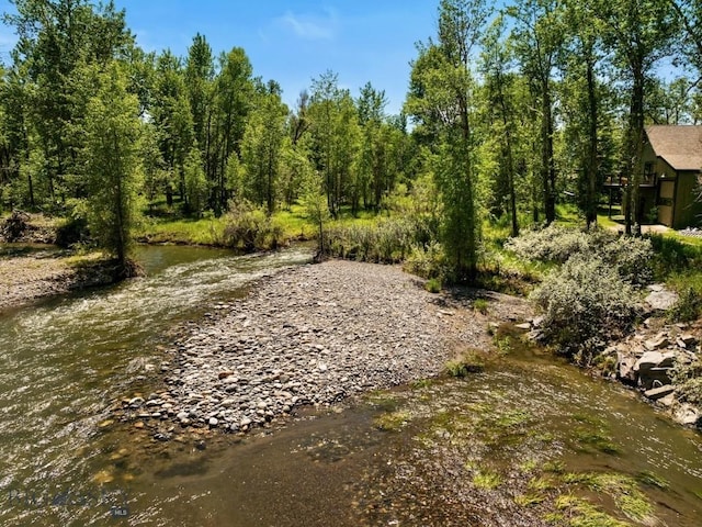 view of local wilderness