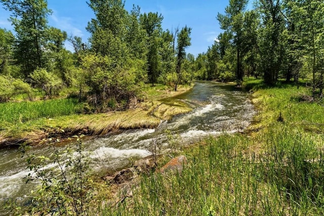 view of undeveloped land