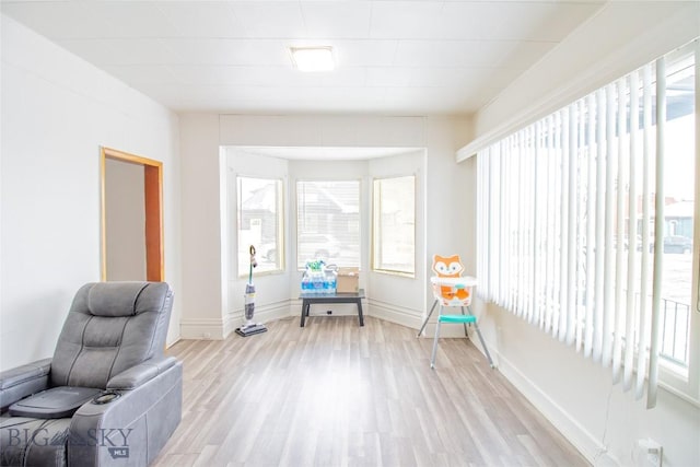 1048 S Wyoming St, Butte, MT 59701 - living area with light wood-style flooring and baseboards