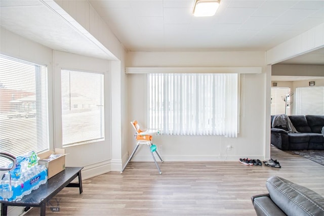 1048 S Wyoming St, Butte, MT 59701 - rec room with wood finished floors, plenty of natural light, and baseboards