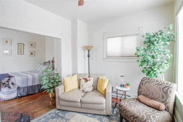 1048 S Wyoming St, Butte, MT 59701 - living room with wood finished floors and a baseboard heating unit