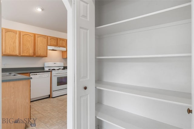 550 Green Tree, Belgrade, MT 59714 - view of pantry