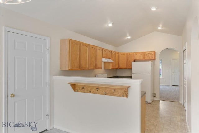 550 Green Tree, Belgrade, MT 59714 - kitchen with freestanding refrigerator, under cabinet range hood, a peninsula, arched walkways, and lofted ceiling