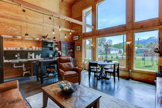 1007 E Geyser, Livingston, MT 59047 - living room with concrete flooring, a high ceiling, plenty of natural light, and a mountain view