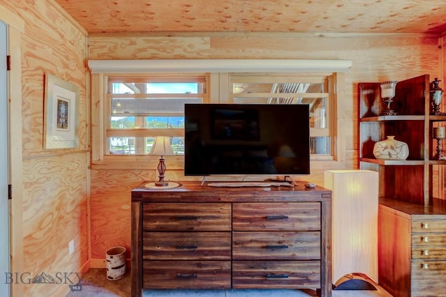 1007 E Geyser, Livingston, MT 59047 - view of living area