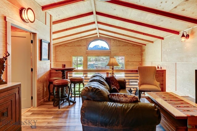 1007 E Geyser, Livingston, MT 59047 - living area featuring light wood-style floors and vaulted ceiling