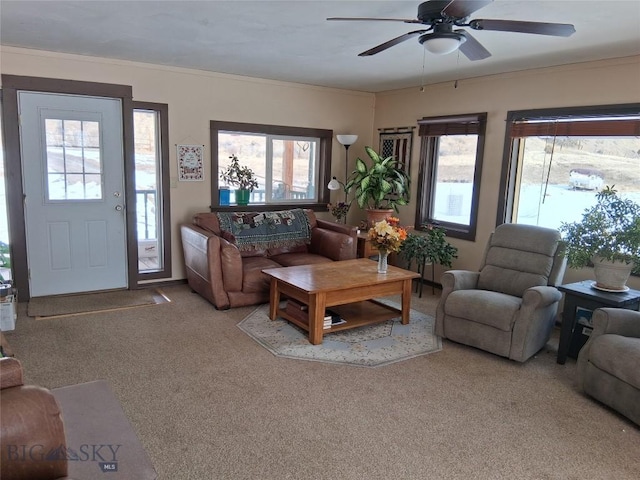 967 Mt Highway 2 W, Whitehall, MT 59759 - living room with healthy amount of natural light, carpet flooring, ceiling fan, and ornamental molding