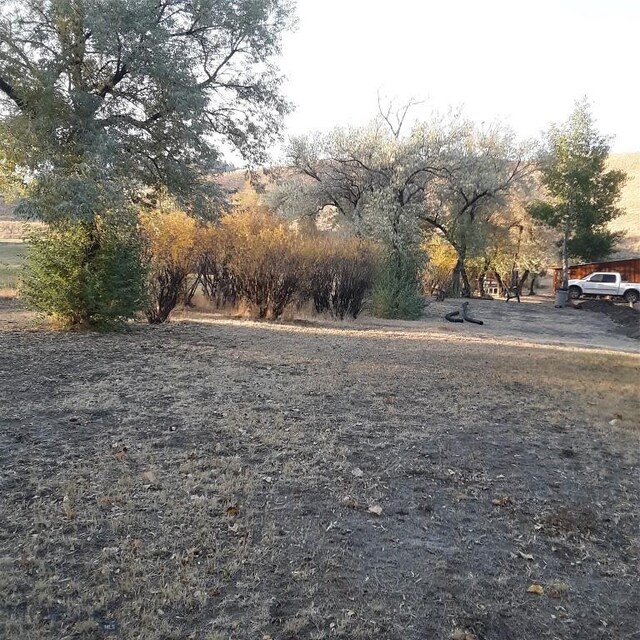 967 Mt Highway 2 W, Whitehall, MT 59759 - view of yard