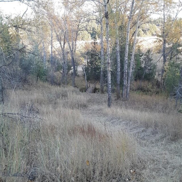 967 Mt Highway 2 W, Whitehall, MT 59759 - view of local wilderness
