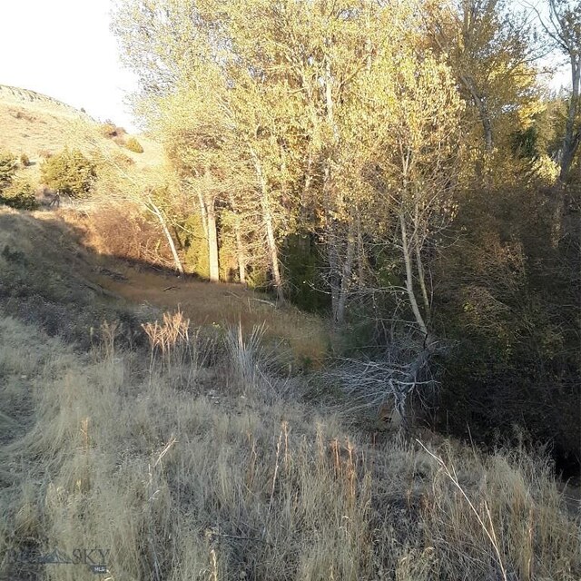 967 Mt Highway 2 W, Whitehall, MT 59759 - view of local wilderness