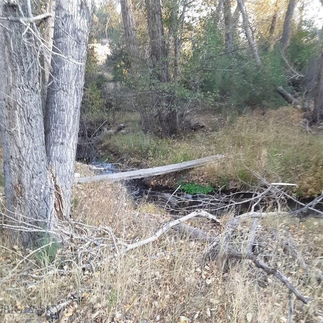 967 Mt Highway 2 W, Whitehall, MT 59759 - view of nature