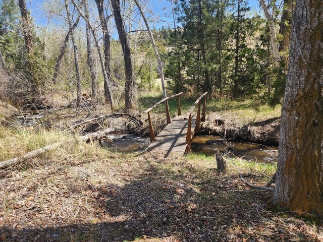 967 Mt Highway 2 W, Whitehall, MT 59759 - view of yard