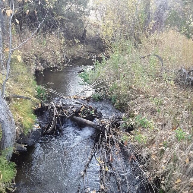 967 Mt Highway 2 W, Whitehall, MT 59759 - view of local wilderness