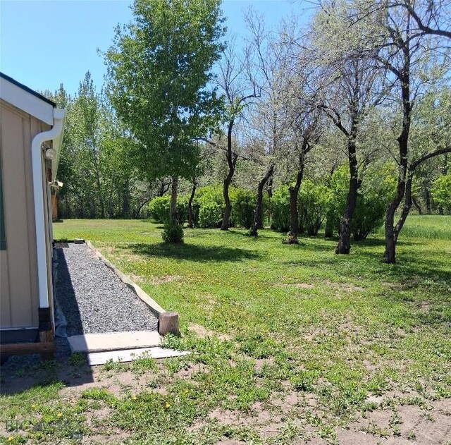 967 Mt Highway 2 W, Whitehall, MT 59759 - view of green lawn
