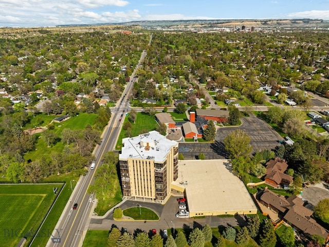 aerial view