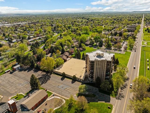 aerial view