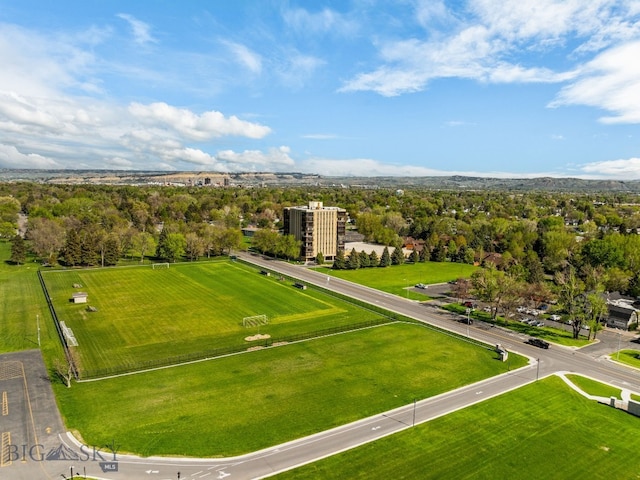 bird's eye view