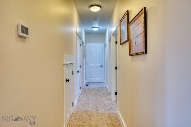 72 River Woods Rd, Belgrade, MT 59714 - hallway with carpet and baseboards