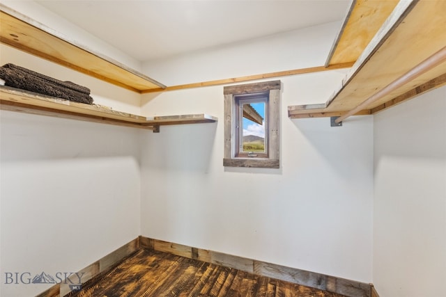 walk in closet featuring dark wood-type flooring