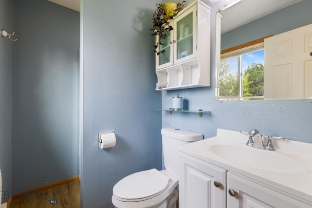 bathroom with toilet, vanity, and wood finished floors