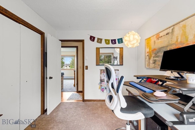 carpeted office featuring a textured ceiling