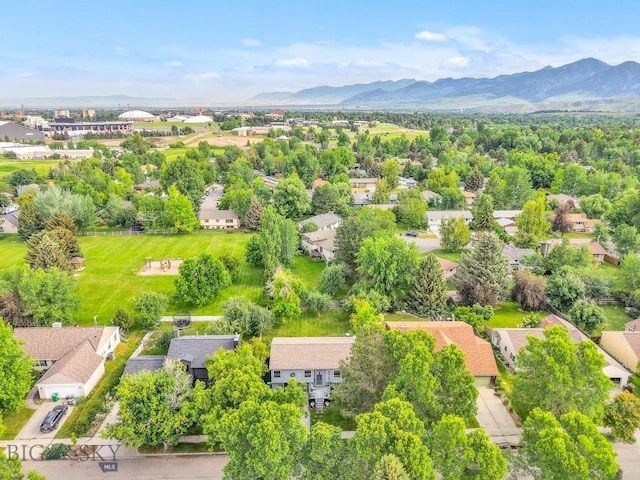 515 W Arnold St, Bozeman, MT 59715 - photo 52